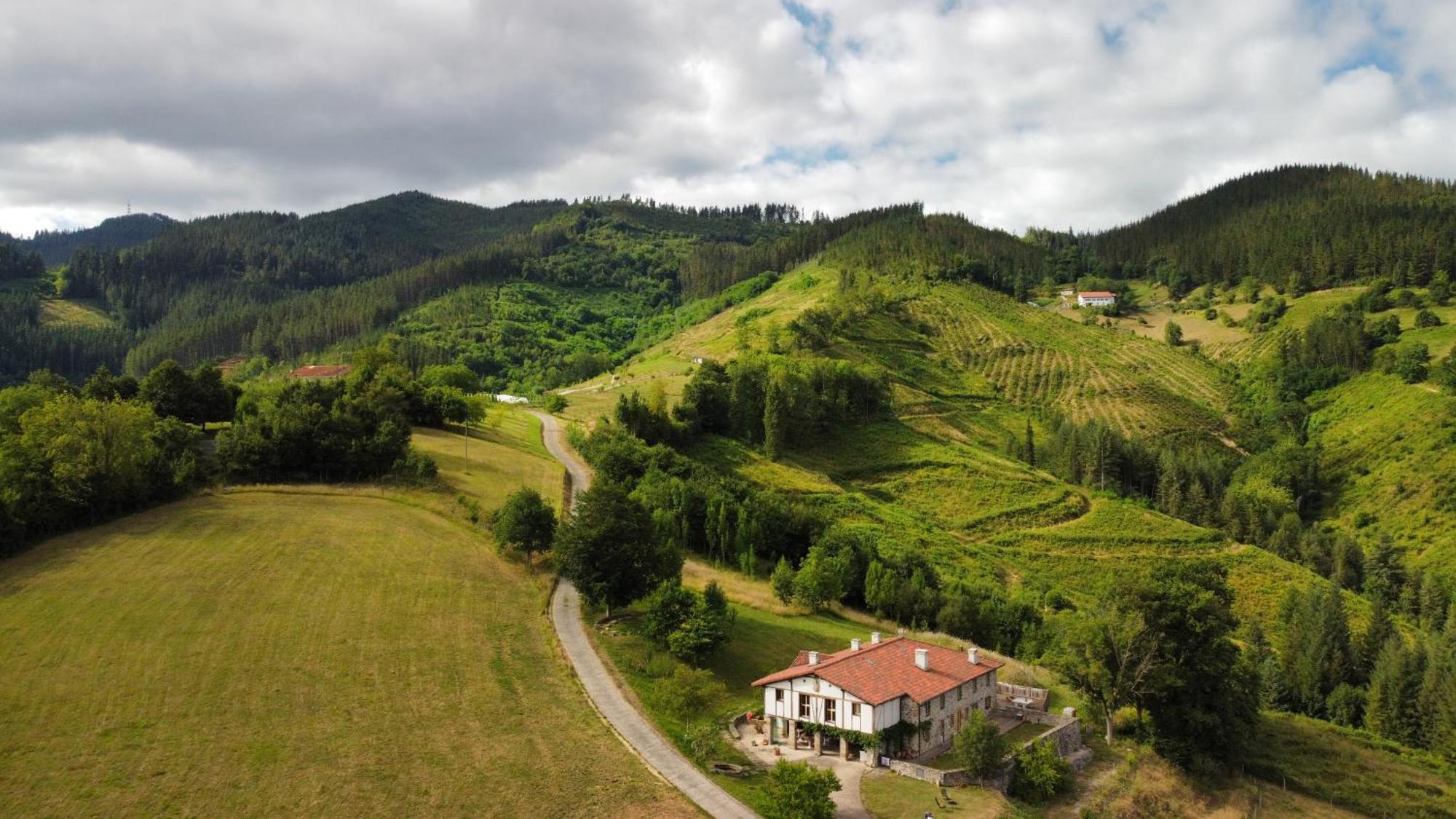 Izal Landetxea